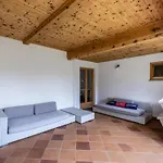 Bruegglbach Xl Holiday home Kirchberg in Tirol